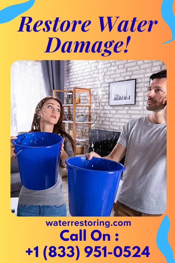 water restoration Premier Water Cleanup Group Opal
